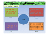 [사회복지실천기술론] 노인학대 개입의 평가 및 사후 관리-14