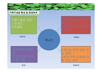 [사회복지실천기술론] 노인학대 개입의 평가 및 사후 관리-15