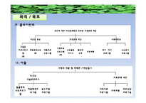 [사회복지실천기술론] 노인학대 개입의 평가 및 사후 관리-18
