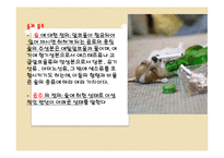 [여성과 건강] 음주와 건강(여성과 음주)-3