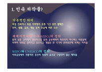 민속 저작물 보호와 한국의 사례-전통문화 표현물의 저작권 반대-2