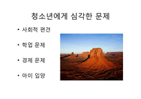 [사회복지] 청소년 미혼모를 위한 사회복지 정책-11