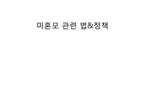 [사회복지] 청소년 미혼모를 위한 사회복지 정책-12