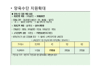 [사회복지] 청소년 미혼모를 위한 사회복지 정책-15