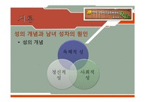 [청소년복지] 청소년의 성문제와 `아하 청소년 성문화 센터` 기관 조사 보고서-3