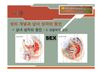 [청소년복지] 청소년의 성문제와 `아하 청소년 성문화 센터` 기관 조사 보고서-4