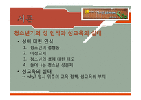 [청소년복지] 청소년의 성문제와 `아하 청소년 성문화 센터` 기관 조사 보고서-6