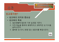 [청소년복지] 청소년의 성문제와 `아하 청소년 성문화 센터` 기관 조사 보고서-11