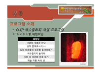 [청소년복지] 청소년의 성문제와 `아하 청소년 성문화 센터` 기관 조사 보고서-17