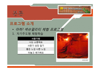 [청소년복지] 청소년의 성문제와 `아하 청소년 성문화 센터` 기관 조사 보고서-18