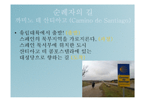 라틴문화의 이해-스페인의 관광지(순례자의길, 도시탐험)-2