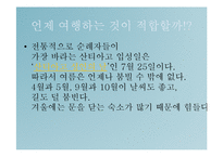 라틴문화의 이해-스페인의 관광지(순례자의길, 도시탐험)-10