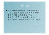 라틴문화의 이해-스페인의 관광지(순례자의길, 도시탐험)-12