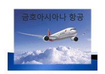 여성커리어 개발-항공사(대한항공, 금호아시아나 항공)채용정보 조사-14