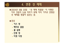 [성심리학] 성매매 사례와 성매매 특별법에 관한 고찰-14
