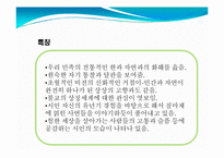 [문학] 한국을 대표하는 현대시인 10인 자료 및 대표작 조사-16