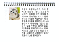 [현대문학] 공지영 `즐거운 나의집` 작품 분석-16