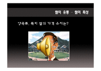 [식품 유통관리] 양곡류의 바잉과정-11