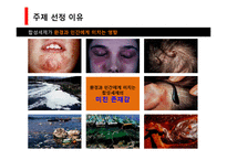[환경과 인간] 합성세제가 환경에 미치는 영향, 피해와 해결방안-5