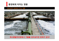 [환경과 인간] 합성세제가 환경에 미치는 영향, 피해와 해결방안-16