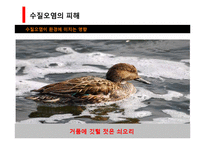 [환경과 인간] 합성세제가 환경에 미치는 영향, 피해와 해결방안-18