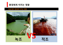 [환경과 인간] 합성세제가 환경에 미치는 영향, 피해와 해결방안-19