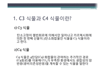 [환경생태학] C3 C4식물과 광합성-2