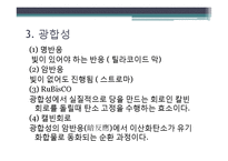[환경생태학] C3 C4식물과 광합성-8
