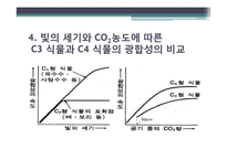 [환경생태학] C3 C4식물과 광합성-9