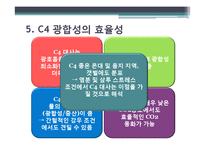 [환경생태학] C3 C4식물과 광합성-10