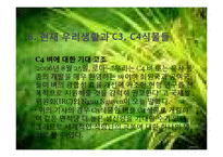 [환경생태학] C3 C4식물과 광합성-11
