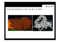 [디자인과 생활] 옵아트(Op art) 작가소개와 적용사례-13