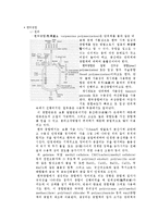 [화학공학] 현탁중합을 통한 고분자중합(온도 교반속도 변수)-5
