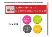 [나노식품공학] 나노기술의 식품분야 적용과 위험요소 분석-3