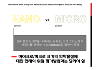 [나노식품공학] 나노기술의 식품분야 적용과 위험요소 분석-6