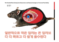[나노식품공학] 나노기술의 식품분야 적용과 위험요소 분석-11