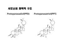 [의약학] 인삼의 항암효과 연구, G-Rb1, Anti-Cancer-3