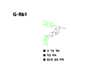 [의약학] 인삼의 항암효과 연구, G-Rb1, Anti-Cancer-4