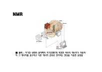 [의약학] 인삼의 항암효과 연구, G-Rb1, Anti-Cancer-11