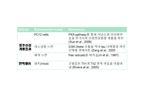[의약학] 인삼의 항암효과 연구, G-Rb1, Anti-Cancer-16