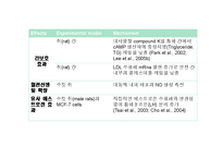 [의약학] 인삼의 항암효과 연구, G-Rb1, Anti-Cancer-17