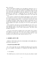 [아동학] 아동관찰과 행동연구를 위한 포트폴리오 기법의 이해-4