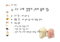 [유아교육] 만 5~6세 유아 놀이지도-놀이활동 상자(Prop Box) 만들기-10
