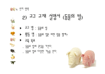[유아교육] 만 5~6세 유아 놀이지도-놀이활동 상자(Prop Box) 만들기-14
