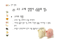 [유아교육] 만 5~6세 유아 놀이지도-놀이활동 상자(Prop Box) 만들기-17