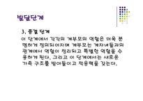 [가족복지론] 혼합가정에서의 자녀가 겪는 문제 해결을 위한 및 부모와 교사의 역할-7