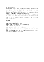 [웹캐스팅][인터넷방송]웹캐스팅(인터넷방송) 의미,유형,특징,현황, 웹캐스팅(인터넷방송) 적용분야,장단점,효과,기존방송과의 비교,제언-11