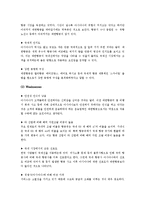[관광마케팅] 저가항공사에 맞서기 위한 위한 대한항공 & 아시아나항공의 마케팅 전략-13