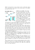 [국제경영] 히든챔피언 기업 `멜파스` 성공 분석-9