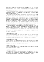 [국제경영] 히든챔피언 기업 `멜파스` 성공 분석-12